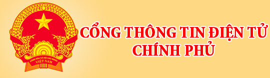 Cổng thông tin chính phủ điện tử